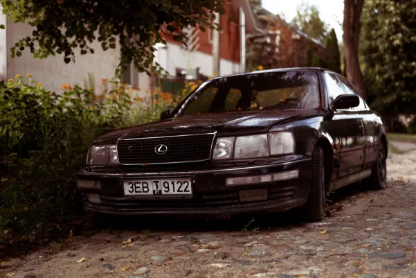 WinFest Cazino Cazinou Aplicație Android/iOS